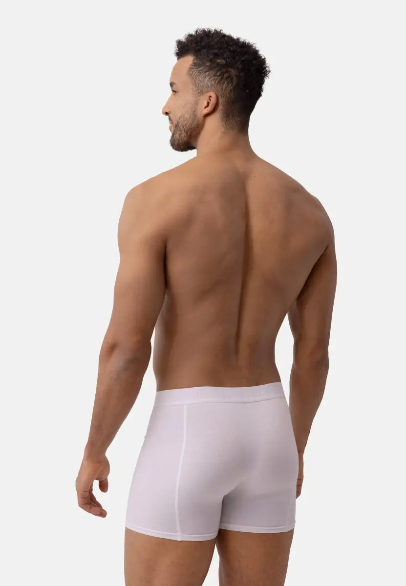 ORGANIC COTTON BOXERSHORTS - Image 23